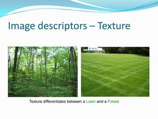 Image descriptors – Texture Texture differentiates between a Lawn and a Forest