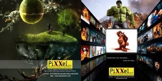 Pixxel Arts Multimedia course brochure