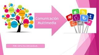 Comunicación
Multimedia
POR: SOFIA FALCONI AGUILAR.
 