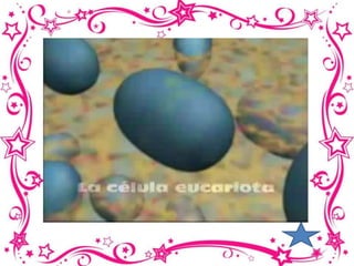 Multimedia  educativo 2.......