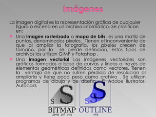 La imagen digital es la representación gráfica de cualquier figura o escena en un archivo informático. Se clasifican en: Una  imagen rasterizada  o  mapa de bits  es una matriz de puntos, denominados píxeles.  Tienen el inconveniente de que al ampliar la fotografía, los píxeles crecen de tamaño, por lo  se pierde definición, estos tipos de archivos los utilizan GIMP y Fotoshop . Una  imagen vectorial  Las imágenes vectoriales son gráficos formados a base de curvas y líneas a través de elementos geométricos definidos como vectores. Tienen la  ventaja de que no sufren pérdida de resolución al ampliarla y tiene poco peso como archivo . Se utilizan programas de dibujo y de diseño : El Adobe Ilustrator, Autocad. 