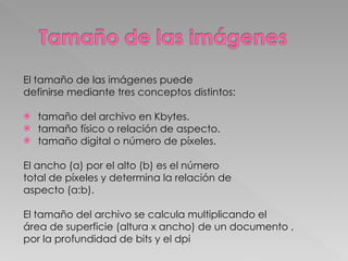 El tamaño de las imágenes puede definirse mediante tres conceptos distintos:  tamaño del archivo en Kbytes. tamaño físico o relación de aspecto. tamaño digital o número de píxeles. El ancho (a) por el alto (b) es el número total de píxeles y determina la relación de aspecto (a:b).  El tamaño del archivo se calcula multiplicando el área de superficie (altura x ancho) de un documento , por la profundidad de bits y el dpi 