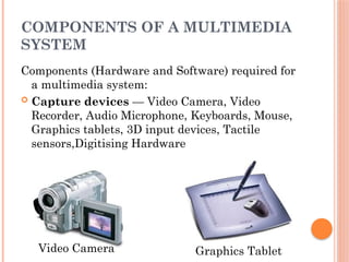 Multimedia Final presentation Multimedia Final presentation | PPTX