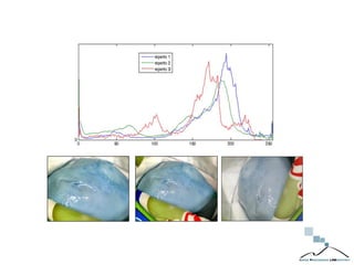 2nd Meeting EU IAI – Interpol Headquarter (Lyon) – October 2016
 