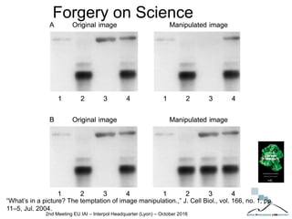 Forgery on Science
“What’s in a picture? The temptation of image manipulation.,” J. Cell Biol., vol. 166, no. 1, pp.
11–5, Jul. 2004.
2nd Meeting EU IAI – Interpol Headquarter (Lyon) – October 2016
 