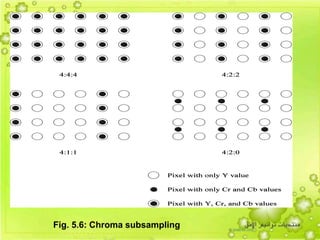 44
Fig. 5.6: Chroma subsampling
 
