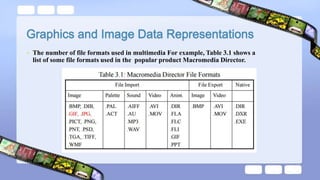 Multimedia graphics and image data representation | PPTX