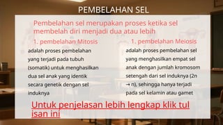 PEMBELAHAN SEL
1. pembelahan Mitosis
adalah proses pembelahan
yang terjadi pada tubuh
(somatik) untuk menghasilkan
dua sel anak yang identik
secara genetik dengan sel
induknya
Pembelahan sel merupakan proses ketika sel
membelah diri menjadi dua atau lebih
1. pembelahan Meiosis
adalah proses pembelahan sel
yang menghasilkan empat sel
anak dengan jumlah kromosom
setengah dari sel induknya (2n
n), sehingga hanya terjadi
→
pada sel kelamin atau gamet
Untuk penjelasan lebih lengkap klik tul
isan ini
 