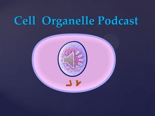 Cell Organelle Podcast
 