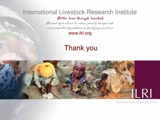 Multimedia in research: What is it? Why use it? How to use it?  