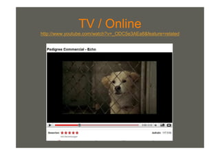 Multimediales ErzäHlen