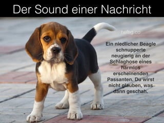Der Sound einer Nachricht 
heftig.co 
Ein niedlicher Beagle 
schnupperte 
neugierig an der 
Schlaghose eines 
harmlos 
erscheinenden 
Passanten. Du wirst 
nicht glauben, was 
dann geschah. 
 
