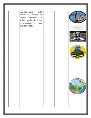 Multimedia lesson plan | DOCX