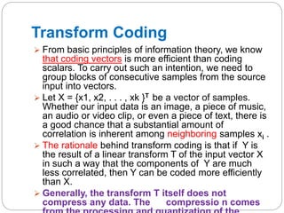 Multimedia lossy compression algorithms | PPTX