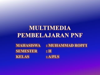 Multimedia pnf individual