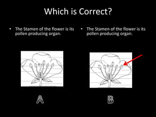 Which is Correct?
• The Stamen of the flower is its
pollen producing organ.
• The Stamen of the flower is its
pollen producing organ.
 
