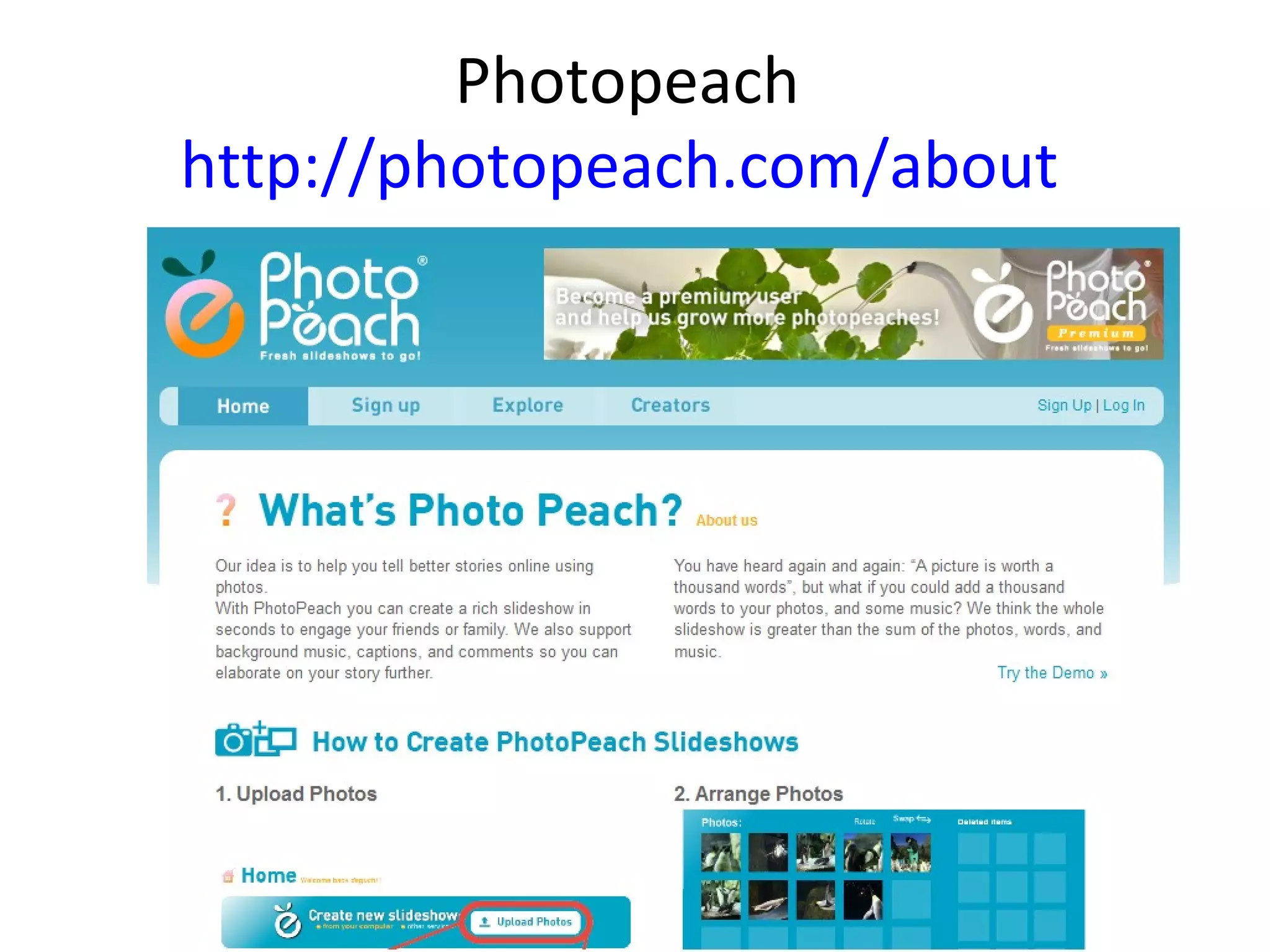 Photopeach
http://photopeach.com/about
 