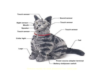 Omron ready to test demand for robo-cat
 