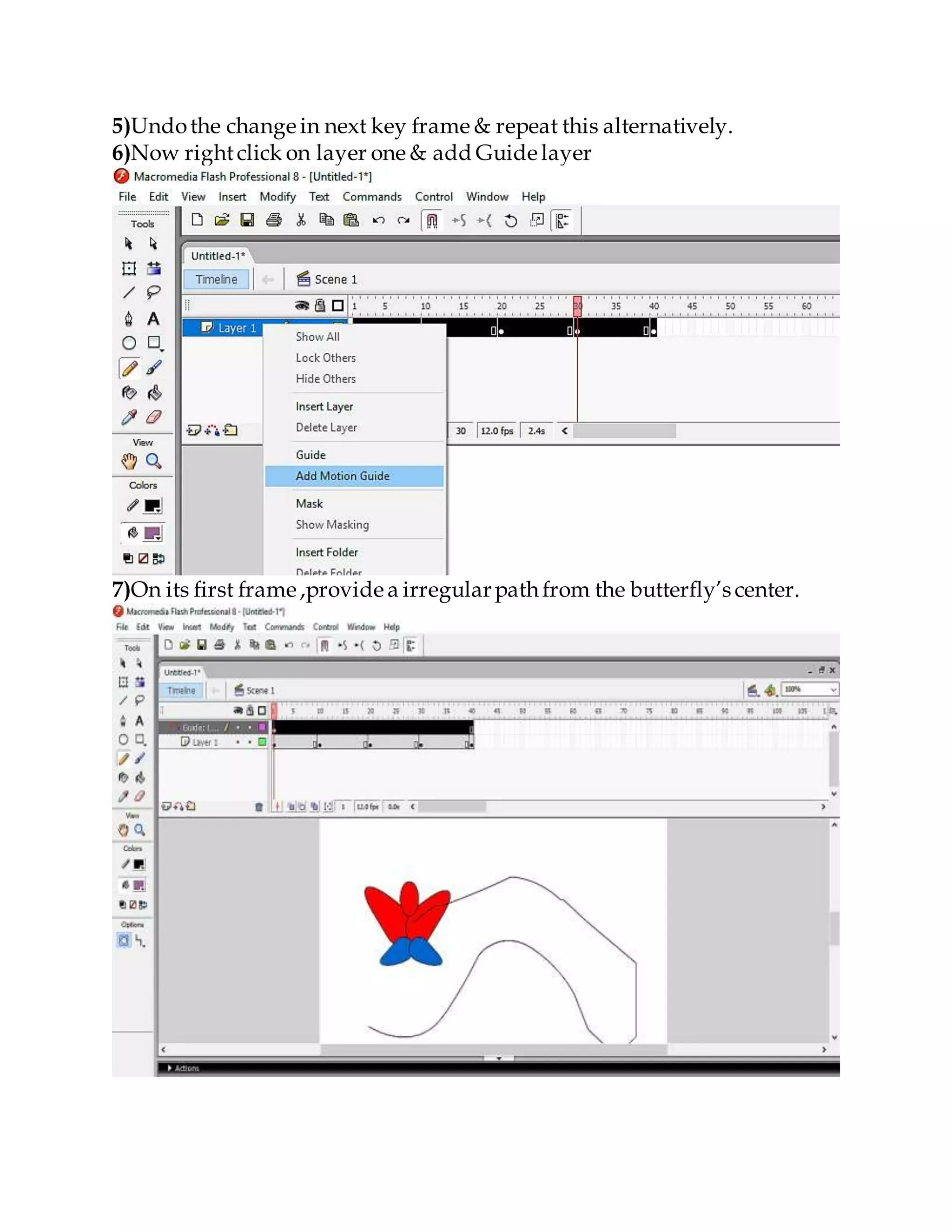 Macromedia Flash Player Practical file | DOCX
