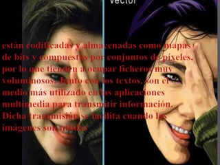 Multimedia y sus elementos