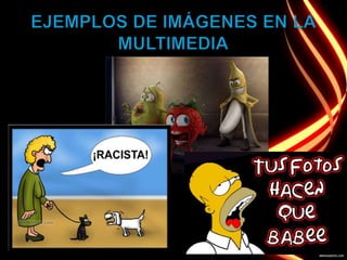 Multimedia y sus elementos