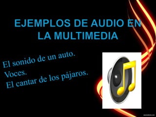 Multimedia y sus elementos