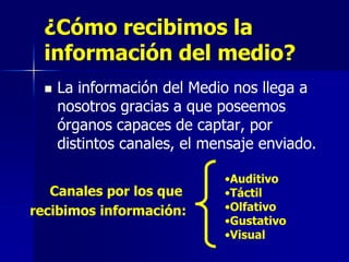 ¿Cómo recibimos la
  información del medio?
     La información del Medio nos llega a
      nosotros gracias a que poseemos
      órganos capaces de captar, por
      distintos canales, el mensaje enviado.

                              •Auditivo
   Canales por los que        •Táctil
recibimos información:        •Olfativo
                              •Gustativo
                              •Visual
 