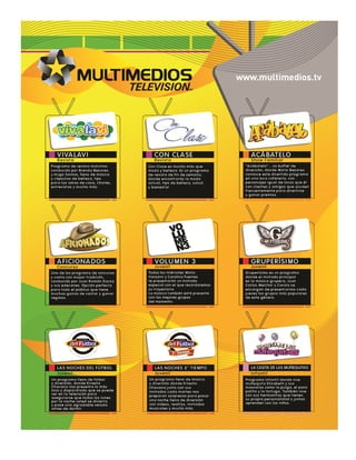 Multimedios Tv Flyer