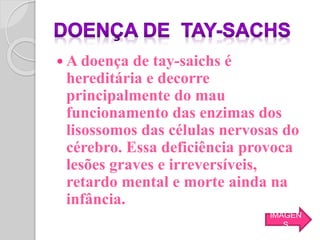  A doença de tay-saichs é
hereditária e decorre
principalmente do mau
funcionamento das enzimas dos
lisossomos das células nervosas do
cérebro. Essa deficiência provoca
lesões graves e irreversíveis,
retardo mental e morte ainda na
infância.
IMAGEN
S
 