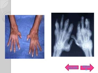 VOLTAR   SEGUI
           R
 