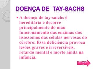  A doença de tay-saichs é
 hereditária e decorre
 principalmente do mau
 funcionamento das enzimas dos
 lisossomos das células nervosas do
 cérebro. Essa deficiência provoca
 lesões graves e irreversíveis,
 retardo mental e morte ainda na
 infância.
                              IMAGEN
                                 S
 