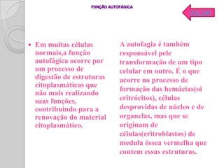 VOLTAR




   Em muitas células        A autofagia é também
    normais,a função         responsável pele
    autofágica ocorre por    transformação de um tipo
    um processo de           celular em outro. É o que
    digestão de estruturas   acorre no processo de
    citoplasmáticas que
                             formação das hemácias(oi
    não mais realizando
    suas funções,            eritrócitos), células
    contribuindo para a      desprovidas de núcleo e de
    renovação do material    organelas, mas que se
    citoplasmático.          originam de
                             células(eritroblastos) de
                             medula óssea vermelha que
                             contem essas estruturas.
 