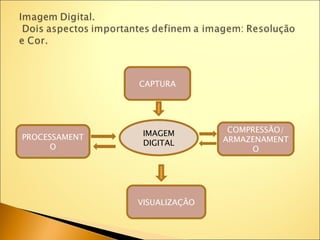 CAPTURA




                IMAGEM         COMPRESSÃO/
PROCESSAMENT                  ARMAZENAMENT
      O         DIGITAL
                                   O




               VISUALIZAÇÃO
 
