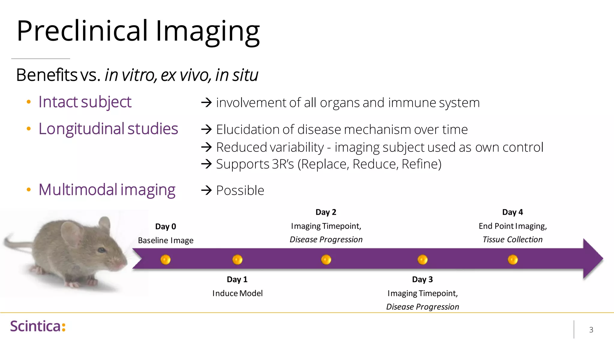 (April 4, 2023) Overview of Preclinical Small Animal Imaging Modalities ...
