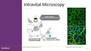 (April 4, 2023) Overview of Preclinical Small Animal Imaging Modalities ...