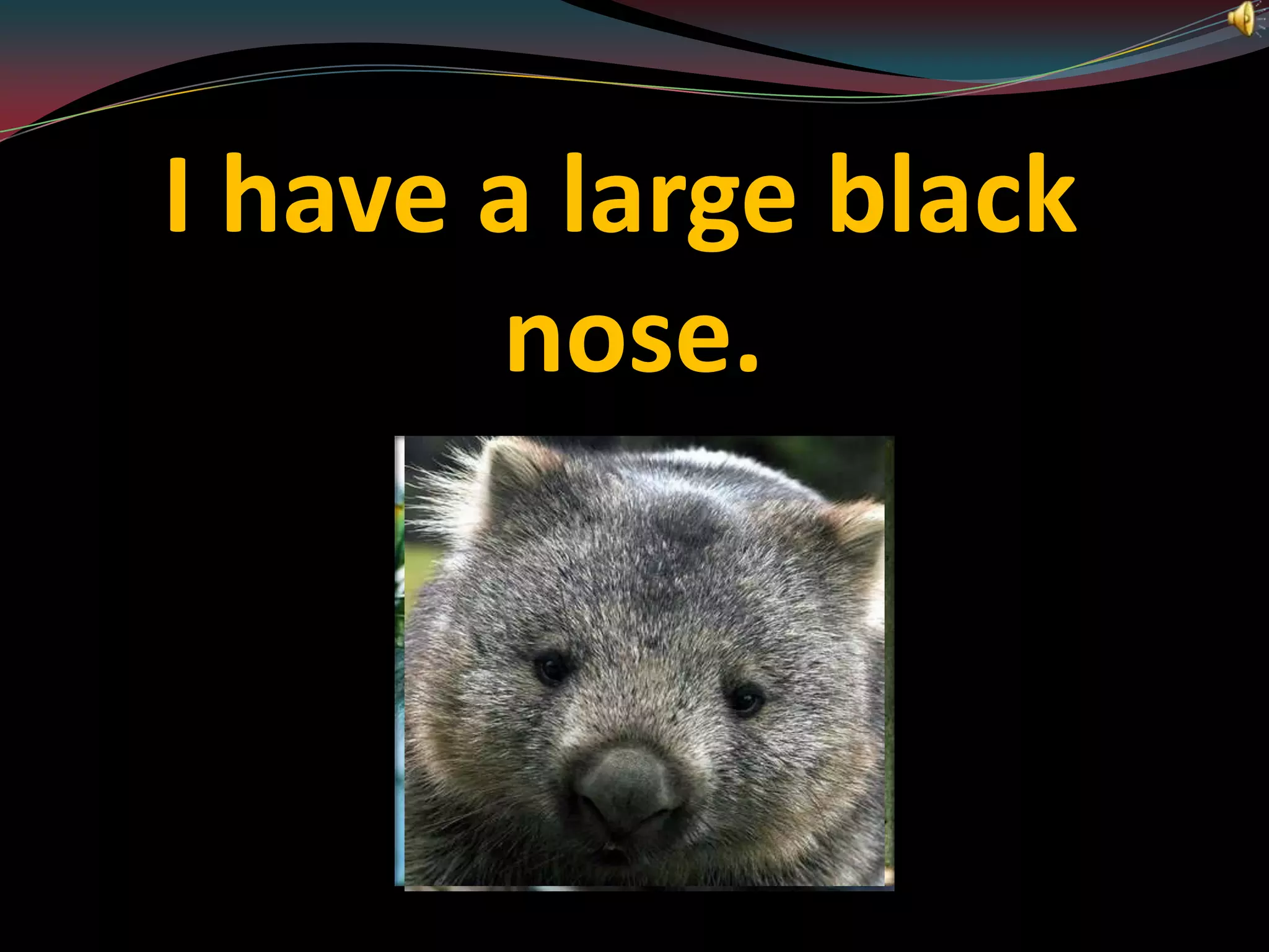 I have a large black nose.