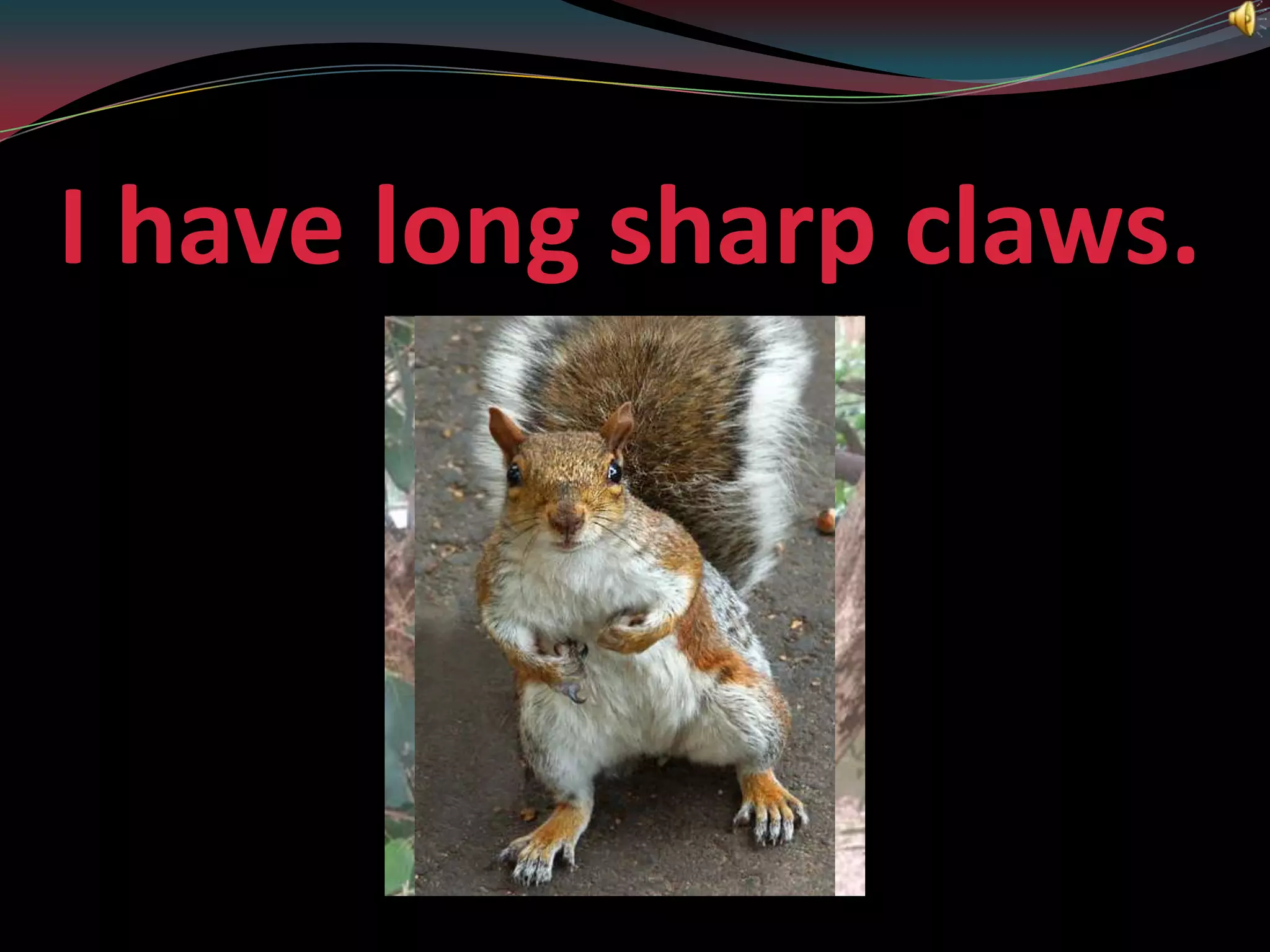 I have long sharp claws.