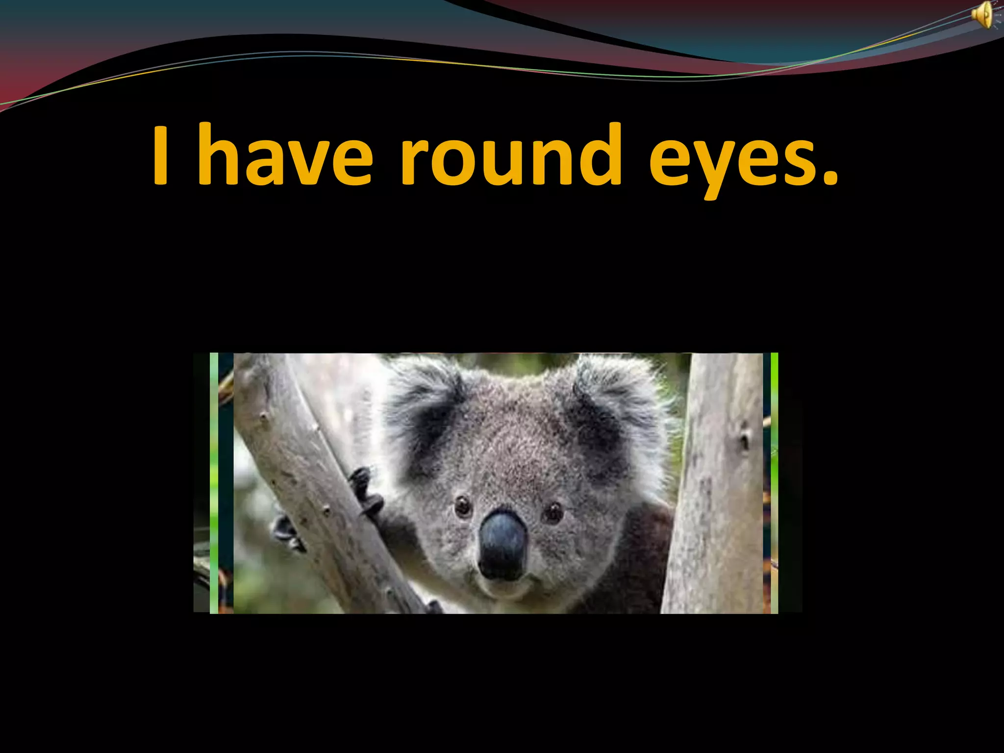 I have round eyes.