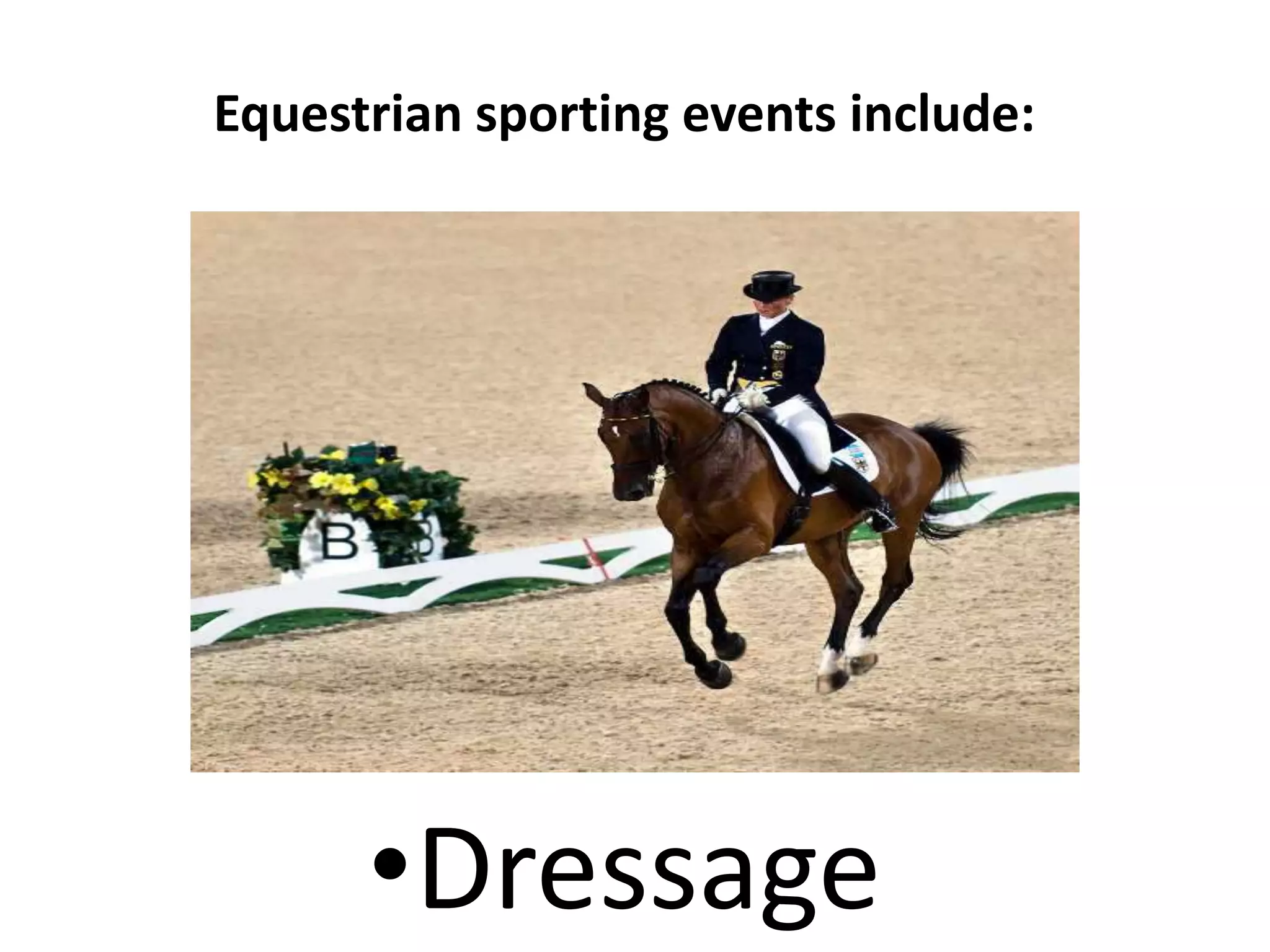•Dressage
Equestrian sporting events include:
 