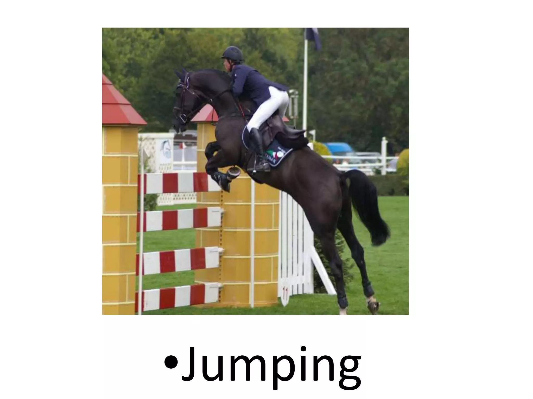 •Jumping
 