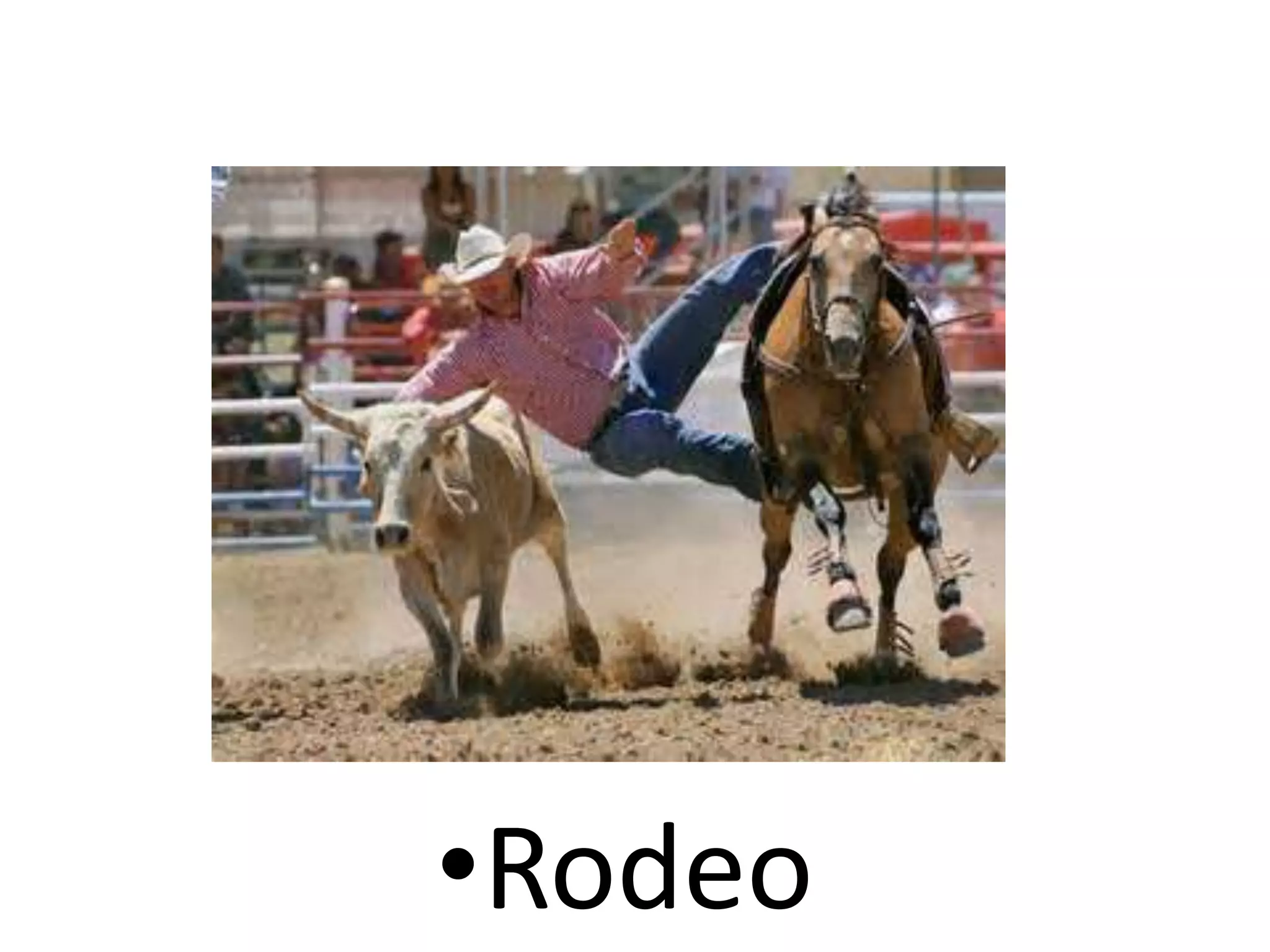 •Rodeo
 