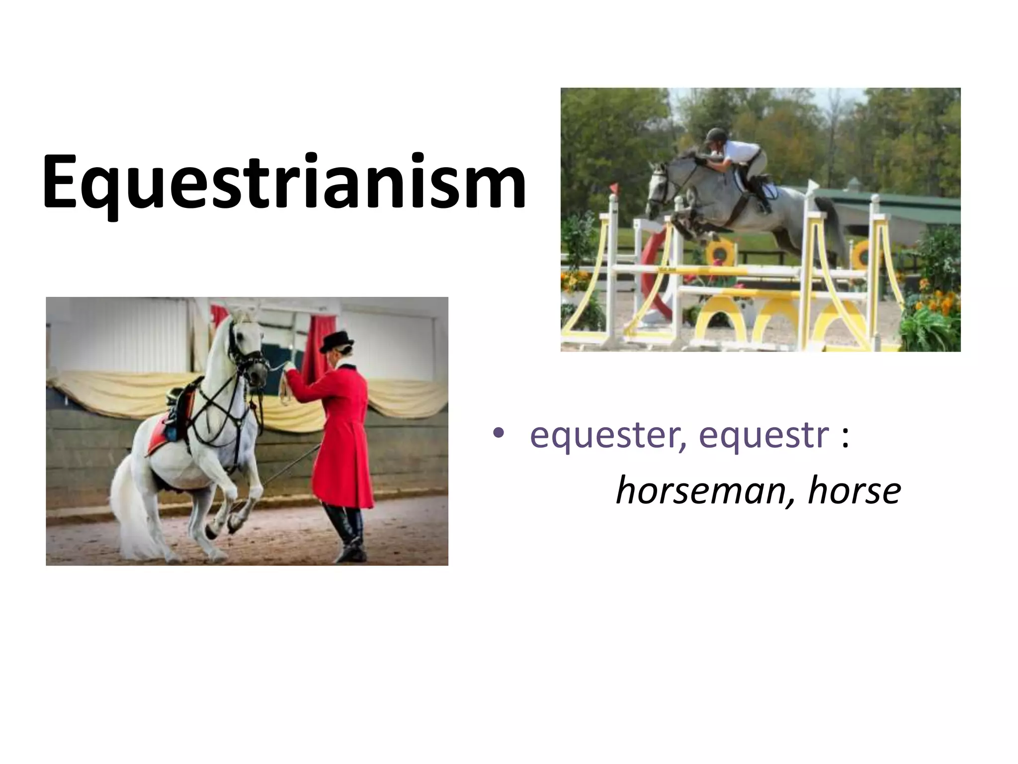 Equestrianism
• equester, equestr :
horseman, horse
 