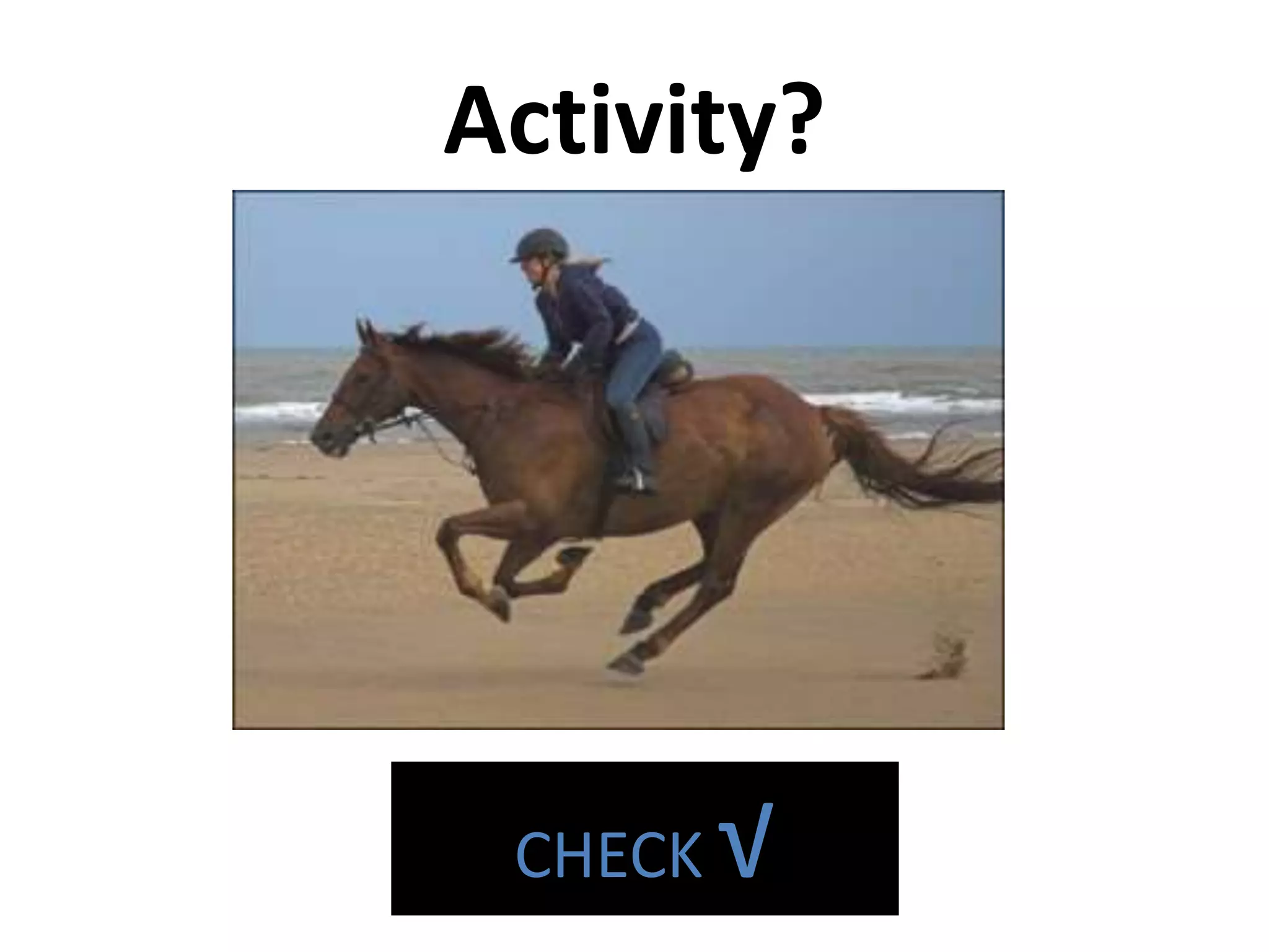 Activity?
CHECK √
 