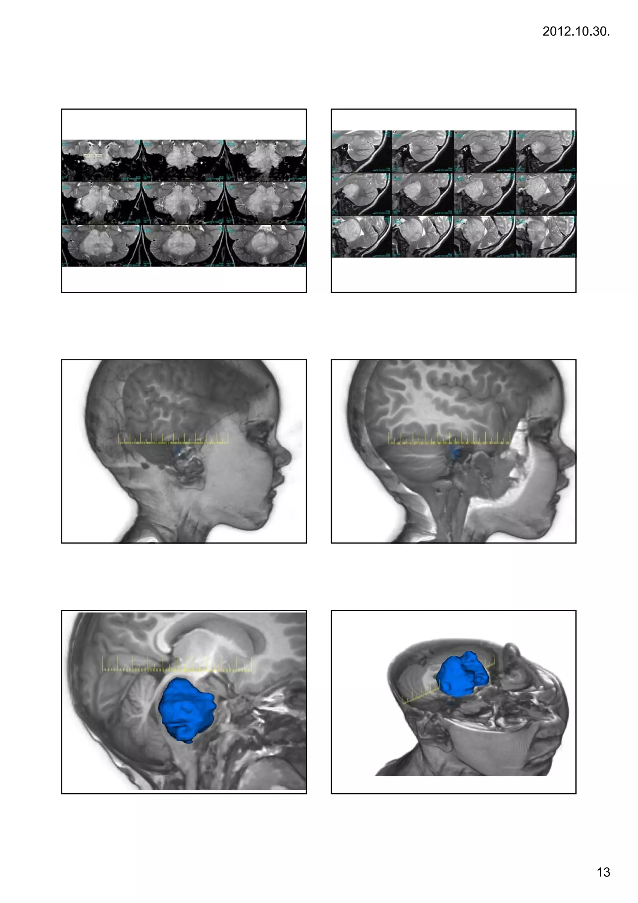 2012.10.30.




        13
 