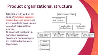 multi national structure.pptx