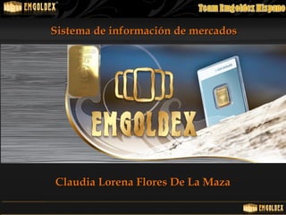 Sistema de información de mercadosSistema de información de mercados
Claudia Lorena Flores De La MazaClaudia Lorena Flores De La Maza
 