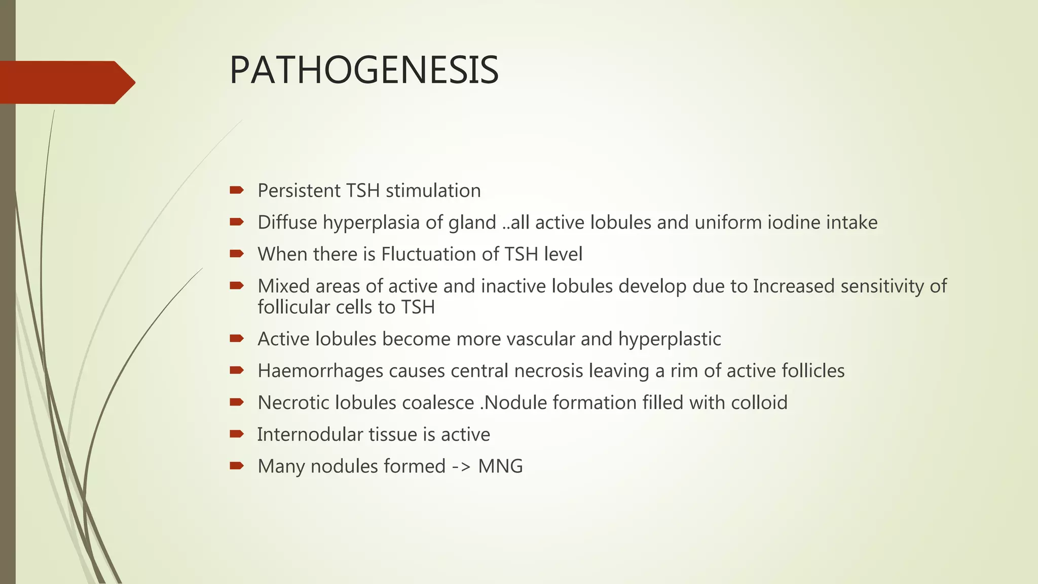 PATHOGENESIS
 Persistent TSH stimulation
 Diffuse hyperplasia of gland ..all active lobules and uniform iodine intake
 When there is Fluctuation of TSH level
 Mixed areas of active and inactive lobules develop due to Increased sensitivity of
follicular cells to TSH
 Active lobules become more vascular and hyperplastic
 Haemorrhages causes central necrosis leaving a rim of active follicles
 Necrotic lobules coalesce .Nodule formation filled with colloid
 Internodular tissue is active
 Many nodules formed -> MNG
 