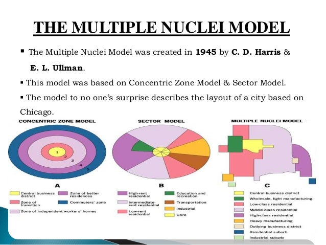 multi nuclei model multiple nuclei model