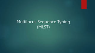 Multilocus Sequence Typing
(MLST)
 