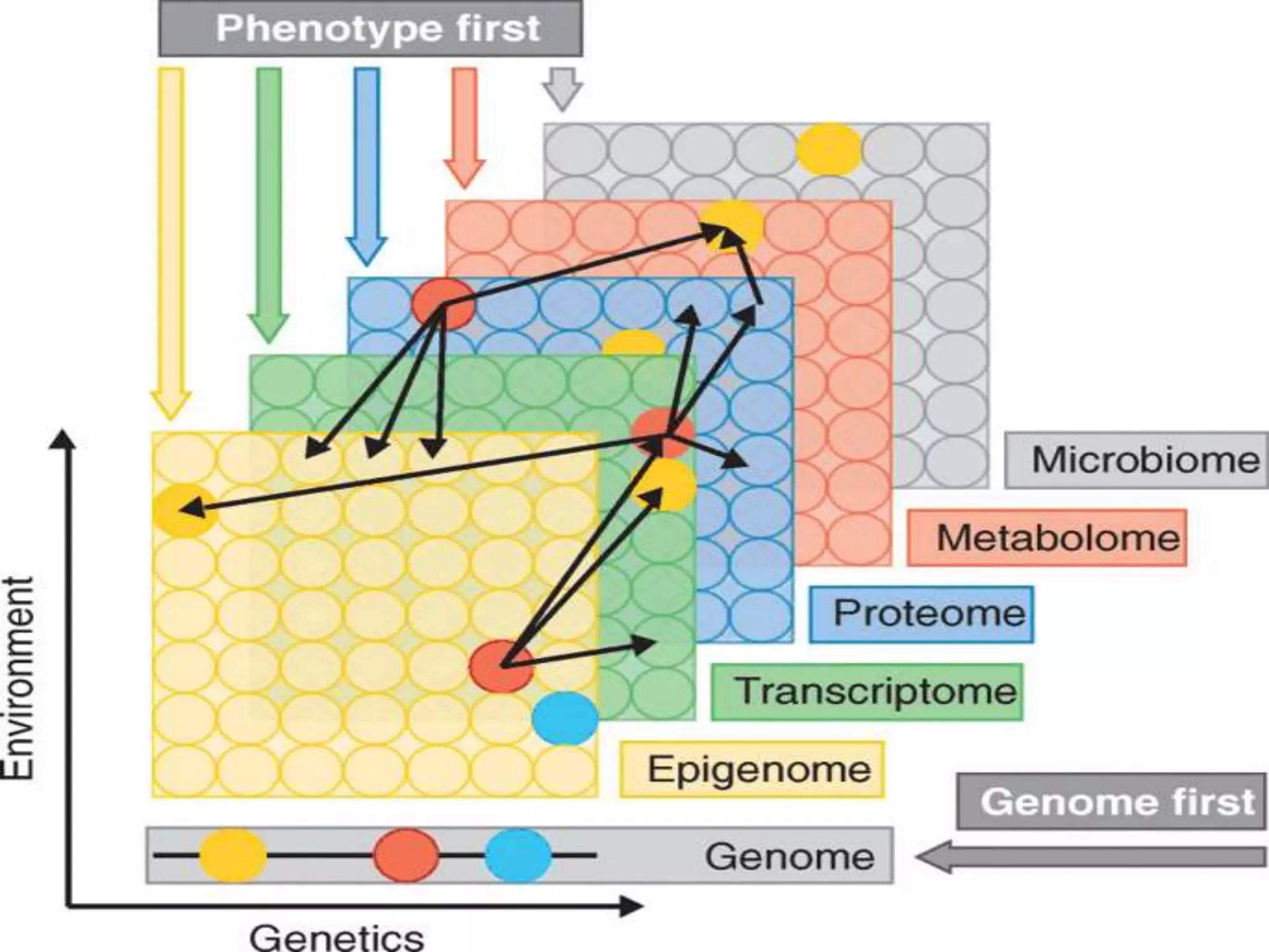 Multi Omics Approach in Medicine | PPTX